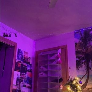 Meet your Posher, Ava